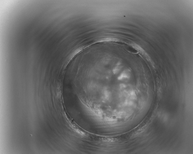 X0000067340945200604071347