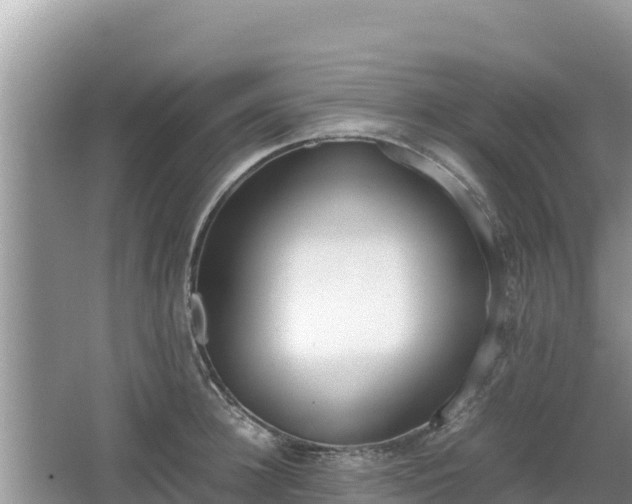 X0000067340948200604071348