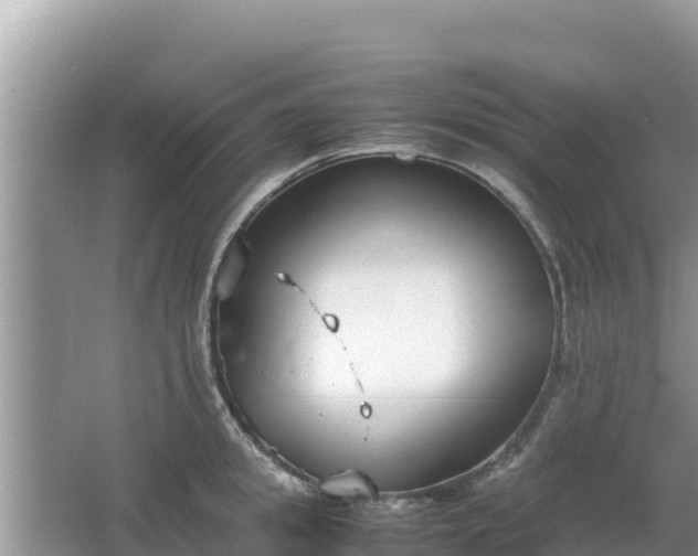 X0000067340949200604071348