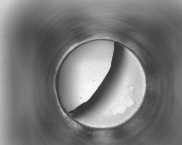 X0000067340950200604071348