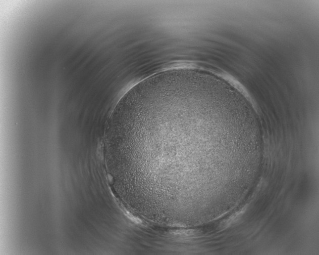 X0000067340953200604071348