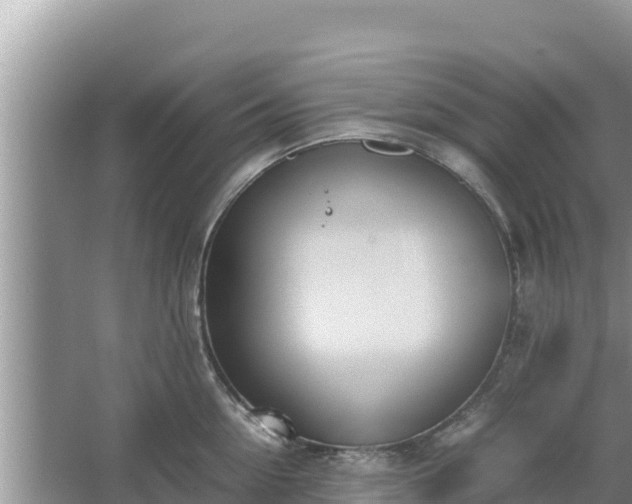 X0000067340954200604071348