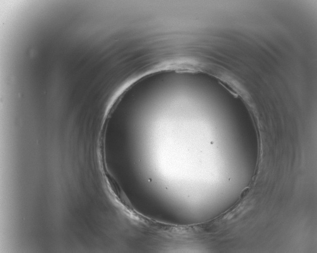 X0000067340960200604071348