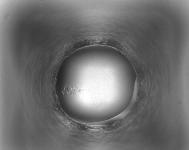 X0000067340961200604071347