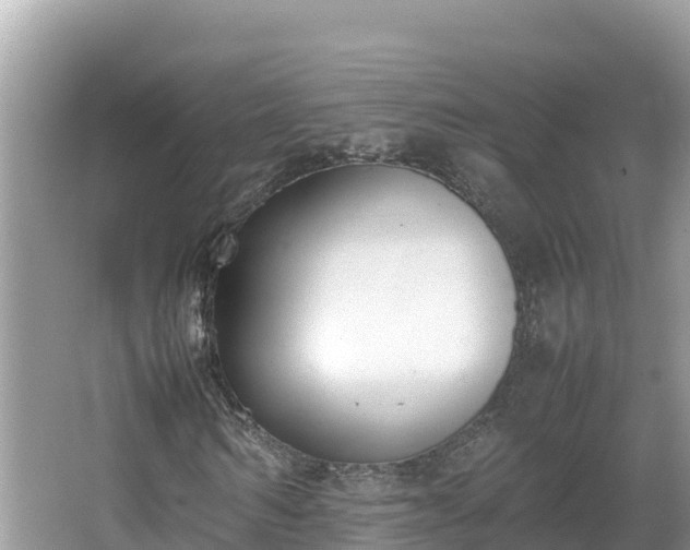 X0000067340962200604071347