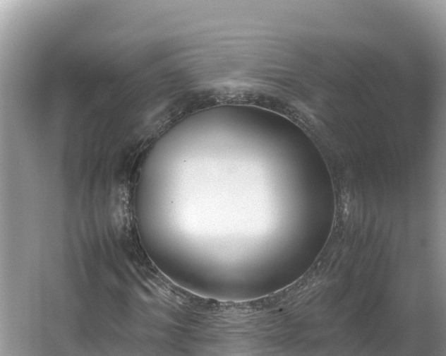 X0000067340964200604071347