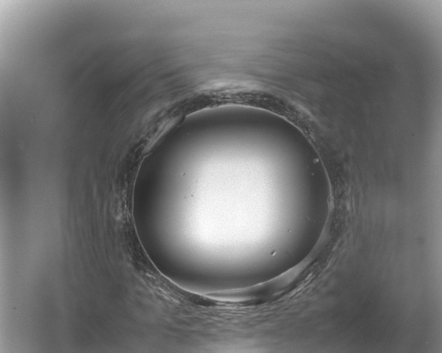 X0000067340965200604071347