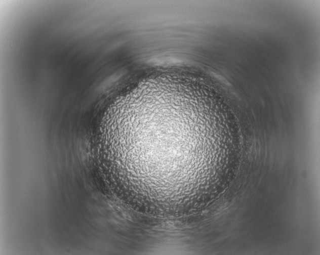 X0000067340966200604071347