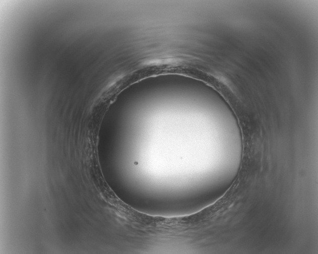 X0000067340967200604071347