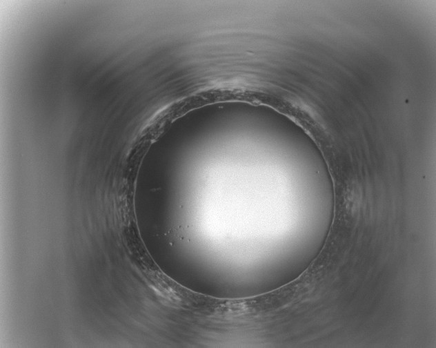 X0000067340968200604071347