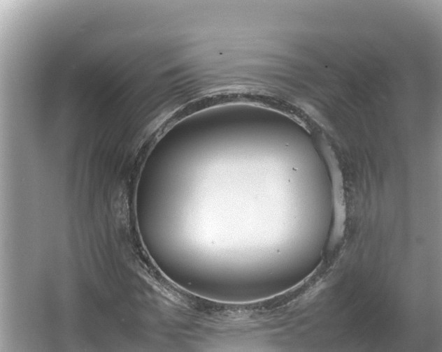 X0000067340969200604071347