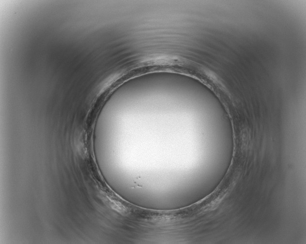 X0000067340970200604071347