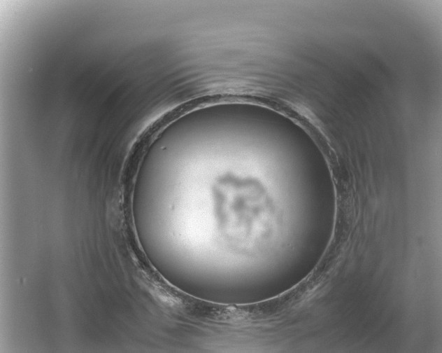 X0000067340971200604071347