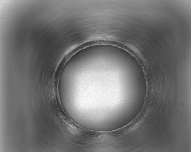 X0000067340974200604071347