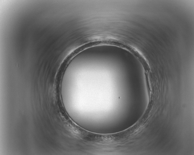 X0000067340975200604071347