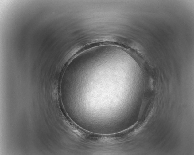 X0000067340977200604071347