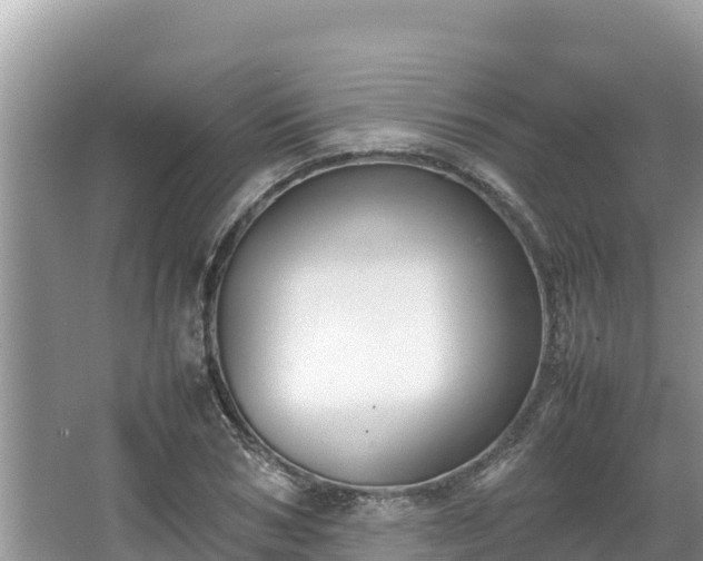 X0000067340978200604071347