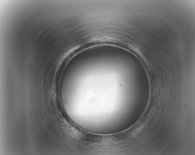 X0000067340979200604071347