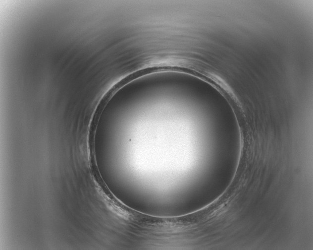 X0000067340980200604071347