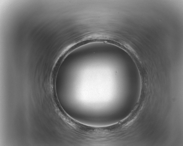 X0000067340981200604071347