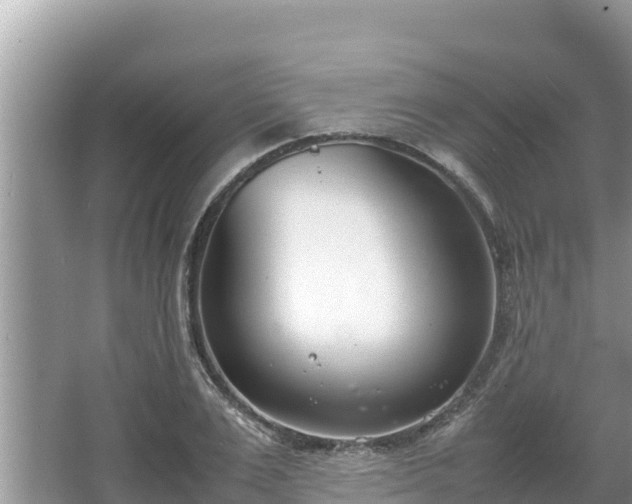 X0000067340983200604071347