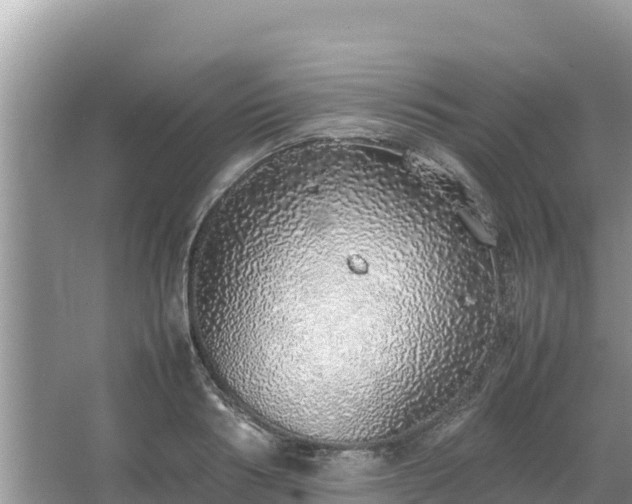 X0000067340986200604071347