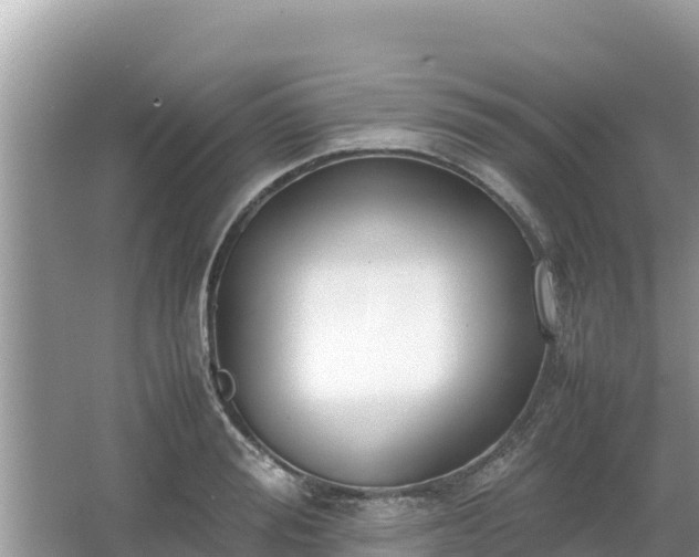 X0000067340988200604071346