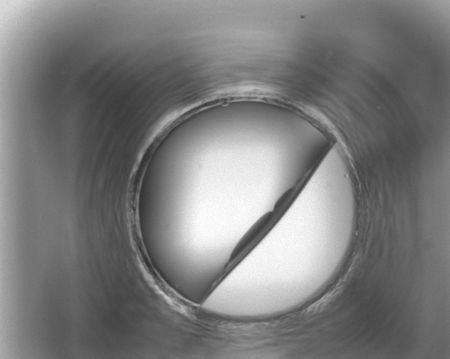 X0000067340989200604071346