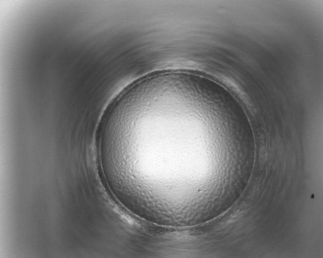 X0000067340990200604071346