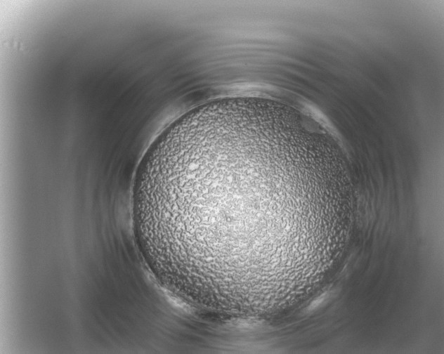 X0000067340994200604071346