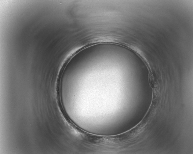 X0000067340995200604071346