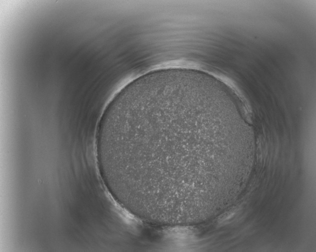 X0000067340998200604071346