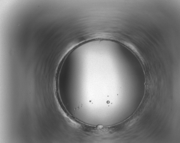 X0000067340999200604071346