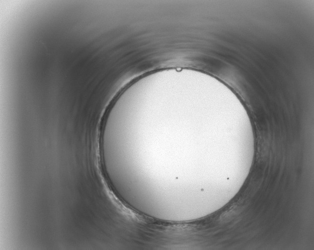 X0000067341000200604071346