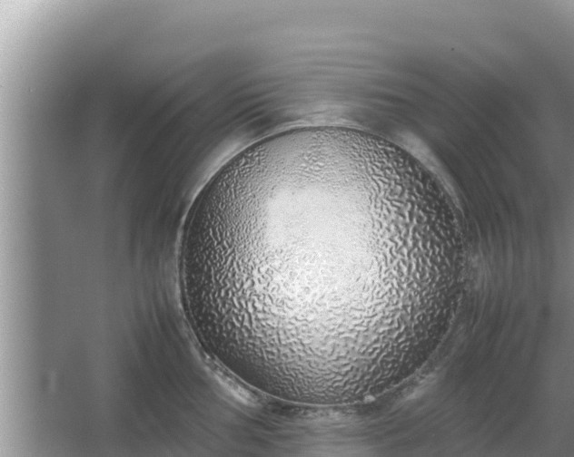 X0000067341002200604071346