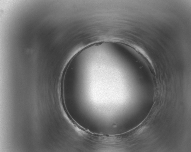 X0000067341007200604071346