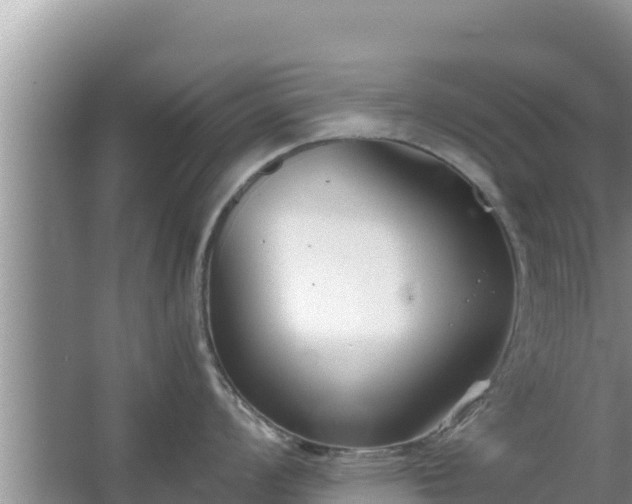 X0000067341008200604071346