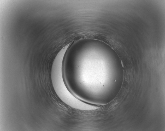 X0000067341010200604071345