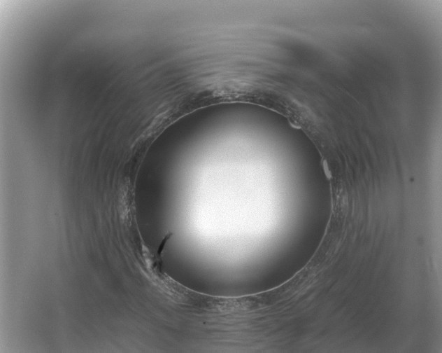 X0000067341012200604071345