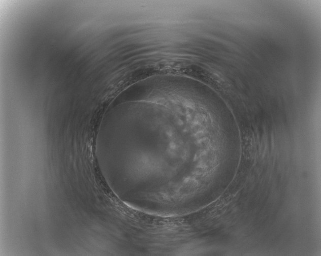 X0000067341013200604071345