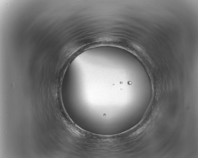 X0000067341017200604071345