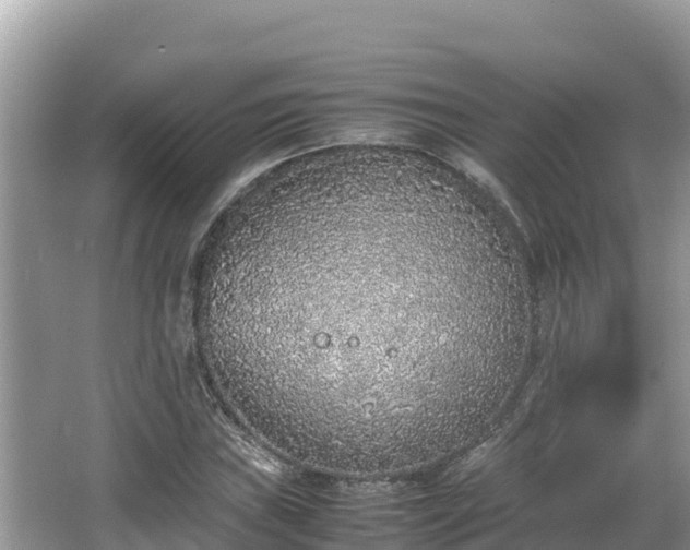 X0000067341019200604071346