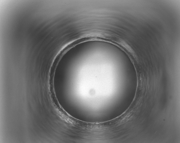 X0000067341020200604071346