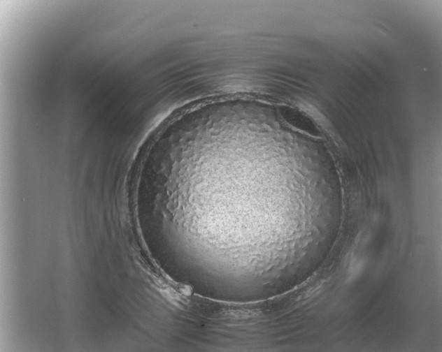 X0000067341023200604071346