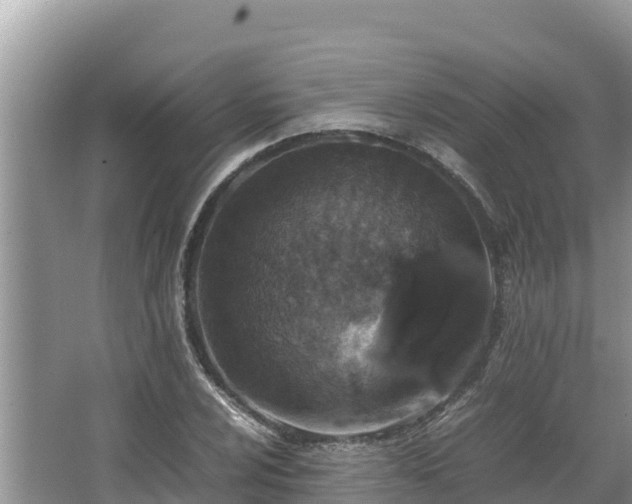 X0000067341024200604071346