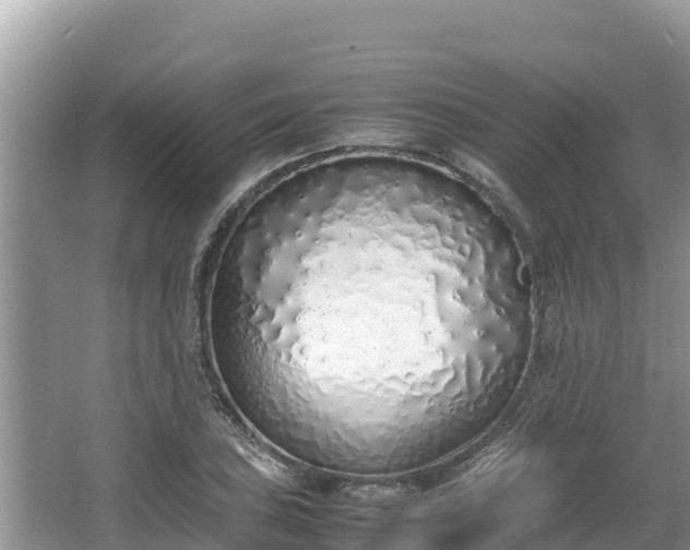 X0000067341027200604071346