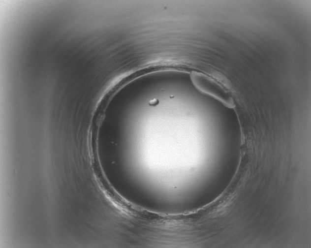 X0000067341030200604071346