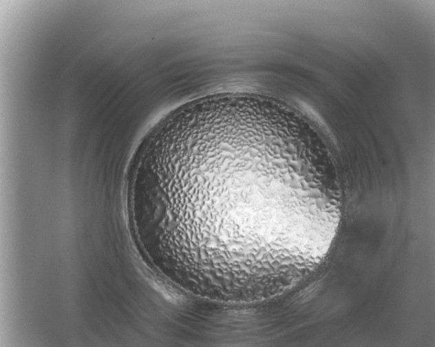 X0000067341035200604071346