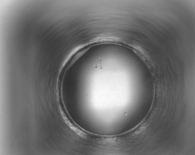 X0000067341038200604071346