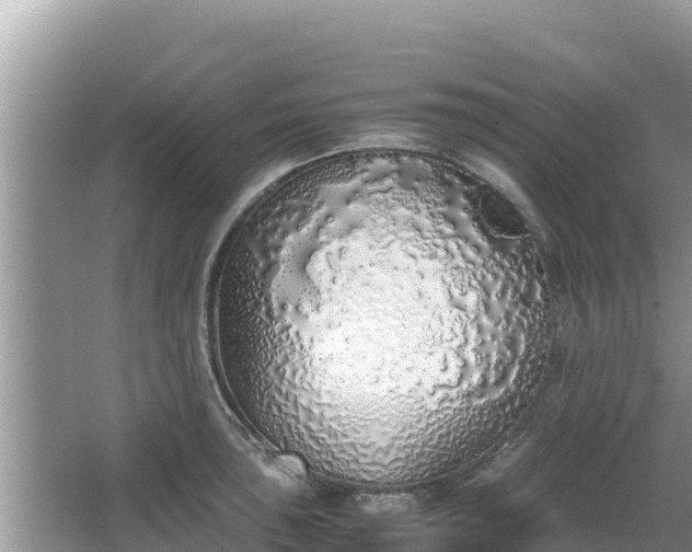 X0000067341043200604071346